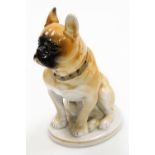 A Russian porcelain French bulldog, in seated position on oval base, with red USSR stamp to undersid