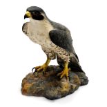 A Royal Crown Derby figure of a Peregrine Falcon, 24cm high.