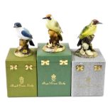 Three Royal Crown Derby boxed bird ornaments, to include green woodpecker, 15cm high, in matte finis