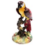 A Royal Crown Derby figure of a Macaw, 26cm high.