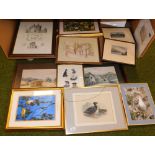 A group of pictures and prints, harvest prints, prints of birds, etc. (1 shelf)