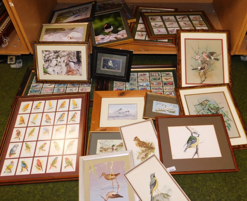 Various pictures and prints relating to birds, some framed cigarette cards, etc. (1 shelf)