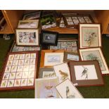 Various pictures and prints relating to birds, some framed cigarette cards, etc. (1 shelf)