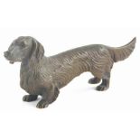 A cast bronze model of a dachshund, 14cm long.