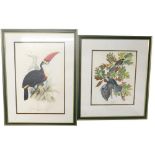 Withdrawn Pre- Sale by Vendor A 19thC style print titled Canada J, and another after Edward Lear tit