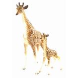 A Beswick ceramic giraffe, 30cm high and a giraffe calf.