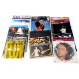 A quantity of LPs, 12 inch singles, to include 1990s and 2000 bands, picture discs, etc.