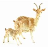 A Beswick ceramic billy goat and a kid. (2)
