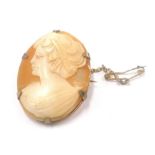 A carved shell cameo in yellow metal mount, stamped PG.