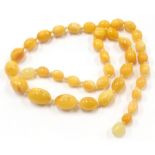 A butterscotch amber graduated beaded necklace, the largest bead 1.5cm wide, the smallest 0.8cm, 45c