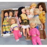 A group of collectors dolls, all plastic limbed, some with faint markings, in varying dress. (2 boxe