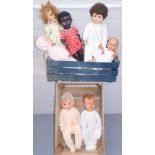 Seven plastic baby dolls, each in assorted dress, unmarked. (2 boxes)