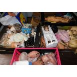 Doll parts, heads, limbs, torsos, etc. (a quantity)