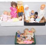 A group of collectors dolls, mainly plastic but some with material bodies, all in varying dress. (3