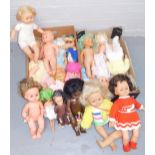 A group of dolls, to include mainly plastic headed examples, some numbered, 75, 88 and 20, another b