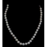 A simulated pearl necklace, with 10mm pearls, on a white metal clasp stamped 14K, 43cm long.