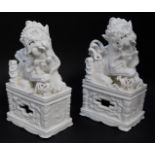 A pair of Chinese Blanc de Chine porcelain figures of Dogs of Fo, modelled with their hands on balls
