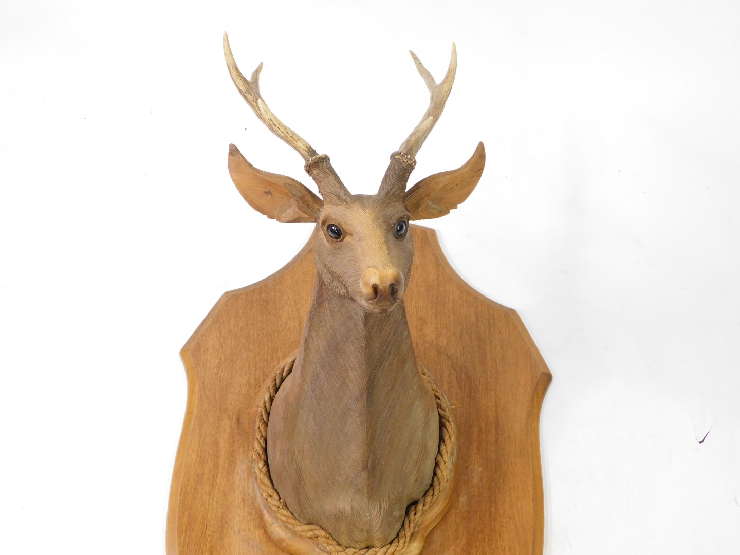 A carved wooden bust of a stag, with three pronged antlers, shield mounted, 66cm high. - Image 2 of 2