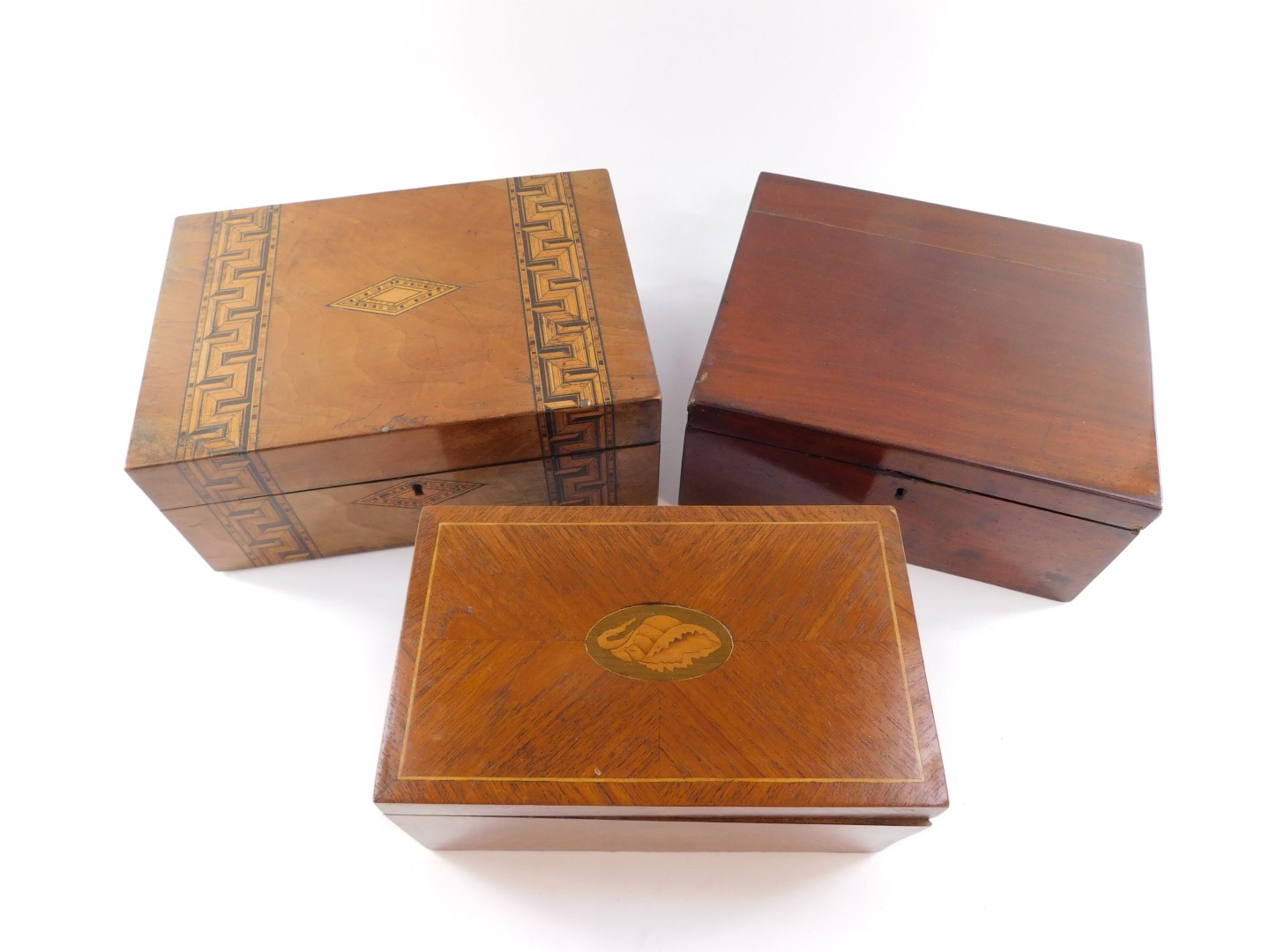 An Edwardian mahogany shell patarae inlaid box, 12cm high, 25cm wide, 15cm deep, together with a mah - Image 2 of 3