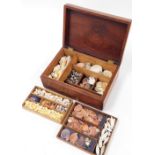 A mahogany storage box and collection of various shells.