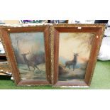 A pair of Victorian oils on canvas of deer's, in oak elaborate scroll framed frames. (AF)