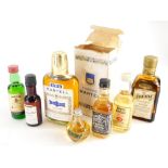 A quantity of alcohol miniatures, to include Cointreau, Jack Daniels, Whyte and Mackay whisky,