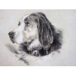 19thC English School. Study of a spaniels head with collar, charcoal and chalk, 24cm x 33cm.