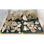 A collection of coral, shells, etc. (4 trays)