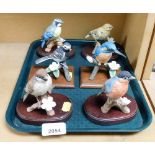 A collection of bisque porcelain bird figures, to include king fisher, blue tit, etc., on hardwood b