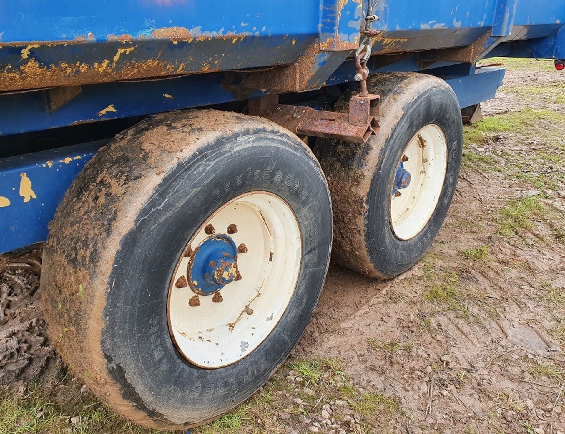 AS MARSTON 11T TANDEM AXLE SILAGE TRAILE - Image 13 of 15