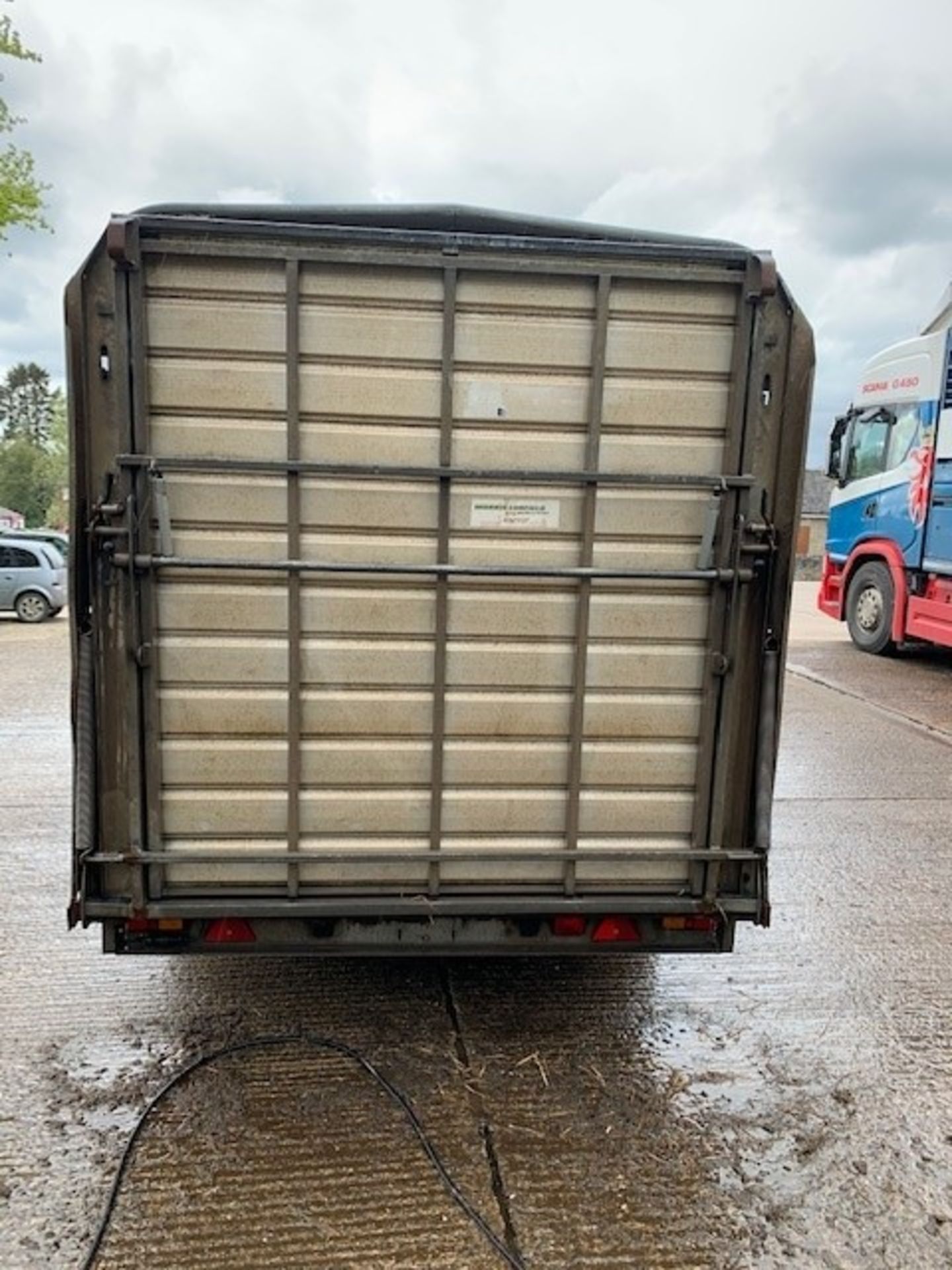 12ft T/A IFOR WILLIAMS LIVESTOCK TRAILER C/W SHEEP DECKS AND DIVIDING GATE FOR CATTLE. by kind - Image 2 of 2