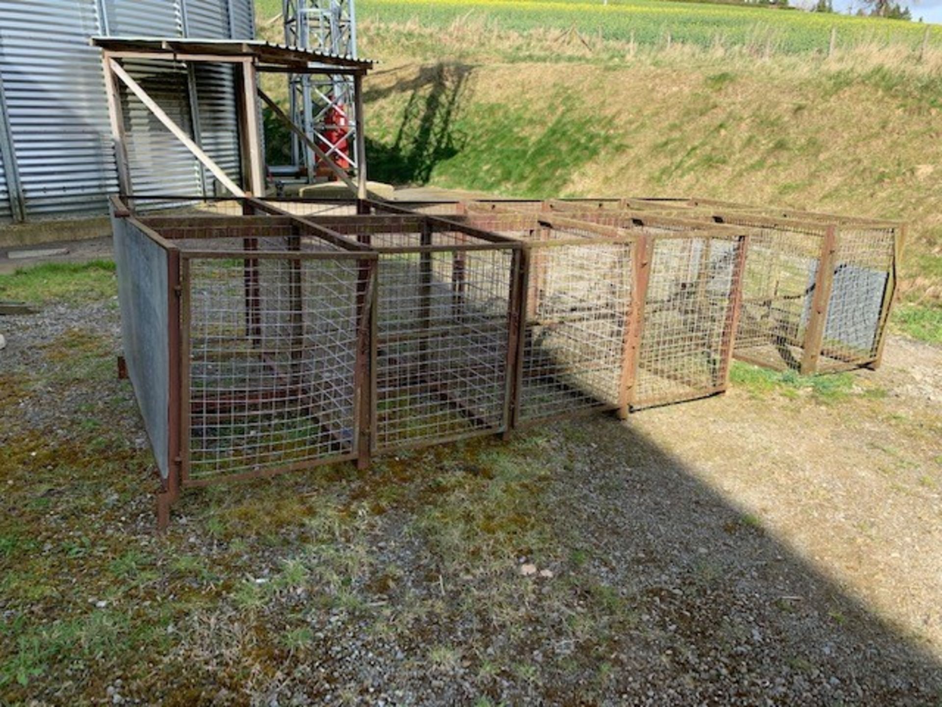 CALF CAGES by kind permission