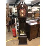 Modern grandfather clock by Lincoln, 31 day, with weights pendulum and instructions