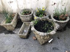 Collection of Garden Pots