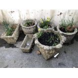 Collection of Garden Pots