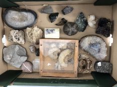 Collection of rock specimens and Fossils