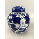 Chinese Blue and White Ginger Jar with concentric circles to base