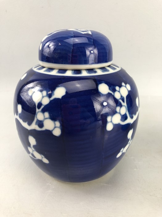 Chinese Blue and White Ginger Jar with concentric circles to base - Image 2 of 6