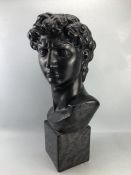 Large bust of Michelangelo's 'David', approx 58cm in height