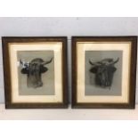 Pair of large framed charcoal drawings of cows, each approx 64cm x 56cm, one signed lower right,