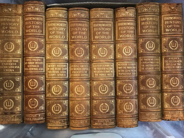 Books: Hamsworth History of the World in eight volumes leather spines, good condition