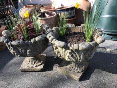 Pair of garden pedestal planters with daffodils