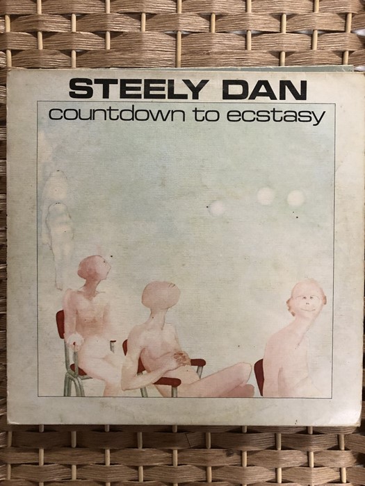 6 Steely Dan / Donald Fagen LPs inc. “Can’t Buy A Thrill”, “Gaucho”, “The Royal Scam”, “Pretzel - Image 3 of 7