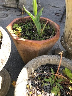 Collection of Garden stoneware pots and a figurine - Image 8 of 10