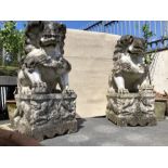 Sculpture: Pair of Magnificent very large Chinese Foo or Temple Dogs, also known as Guardian