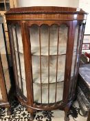 Bow fronted two shelved lined display cabinet on ball and claw feet