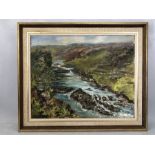 Oil on canvas of a countryside river scene approx 50 x 40cm label to reverse reads River Barle