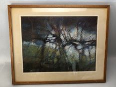Robert Jennison (British, b.1933), 'Marked Tree in Copse', pastel, signed lower left, titled