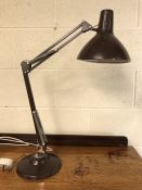 Anglepoise style lamp by 1001 Lamps Ltd