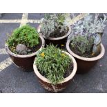 Four similar brown coloured stone pots with associated flowers